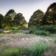 Piet Oudolf Field - Hauser & Wirth, Durslade Farm, Bruton, Somerset